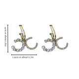 SOPHISTICATED CHIC EARRINGS (PAIR)
