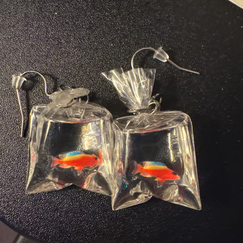 FISH IN BAG EARRINGS (PAIR)