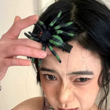 SPIDER HAIR CLIP