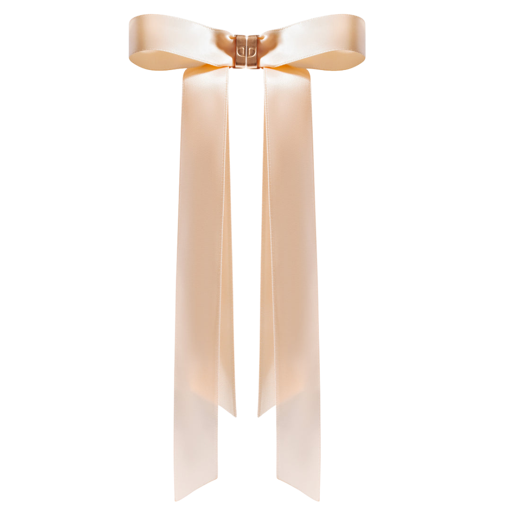 Blushy™ | Ribbon Hair Clip