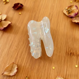 DENTAL HAIR CLIP