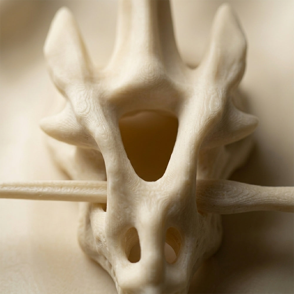 Fangra™ | Dragon Skull Clip