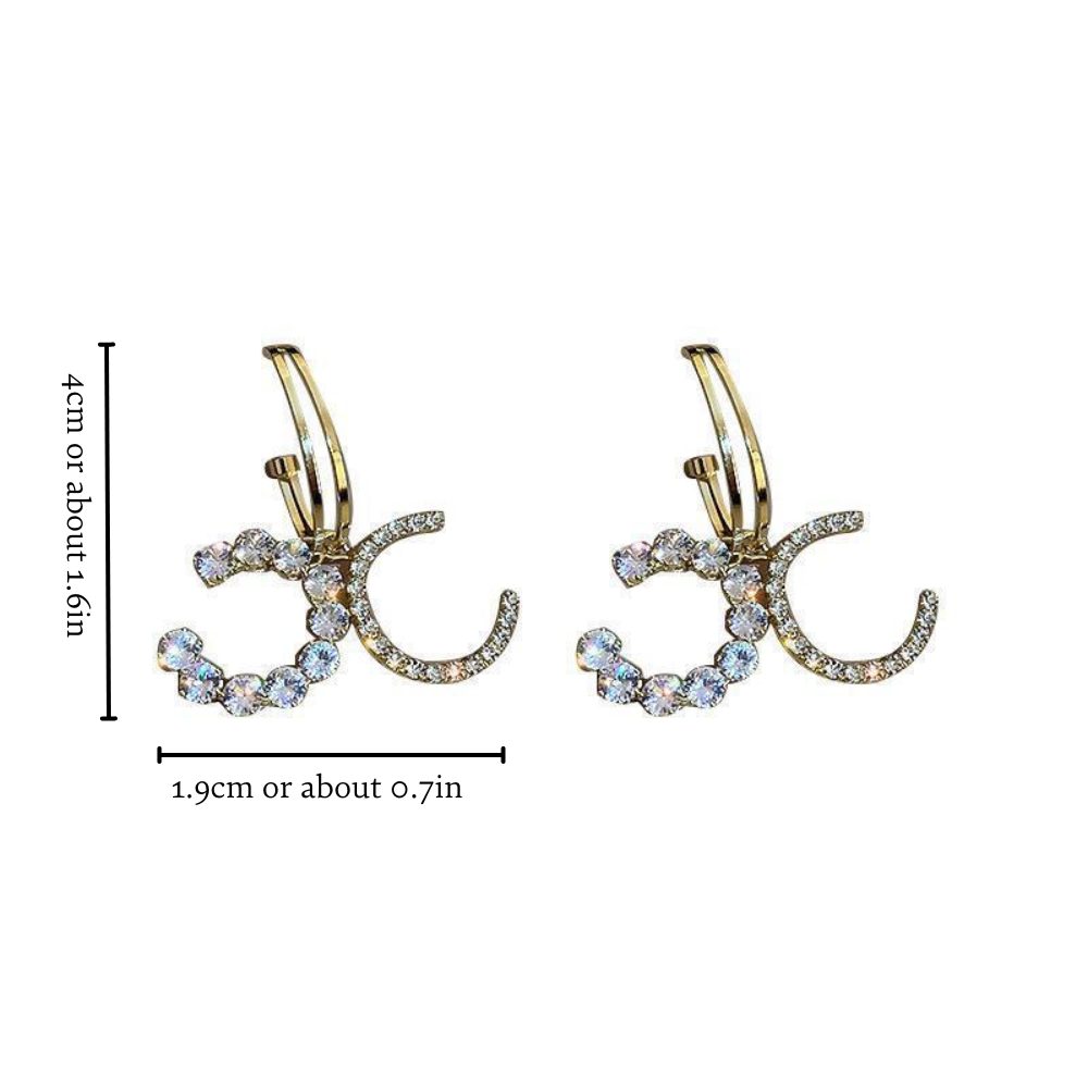 SOPHISTICATED CHIC EARRINGS (PAIR)