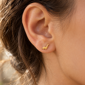 FOSSIL DINO STUDS (PAIR)